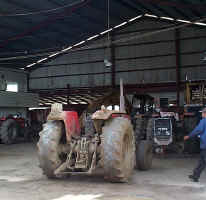 Rice_Mill_Tractors.JPG (145745 bytes)