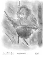 BadHairDay.jpg (93485 bytes)