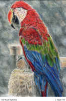 HisHighness.jpg (492981 bytes)