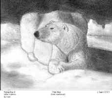 PosingBear.jpg (129730 bytes)