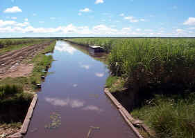 PlantationCanal.JPG (109990 bytes)