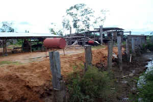 SawMill.JPG (107359 bytes)