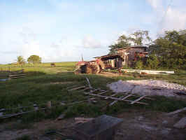 SceneatSavanah.JPG (106435 bytes)