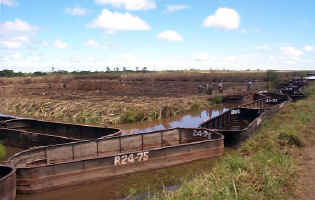SugarPunts.JPG (100803 bytes)